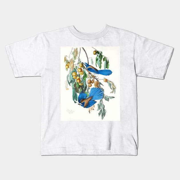 Florida Jay from Birds of America (1827) Kids T-Shirt by WAITE-SMITH VINTAGE ART